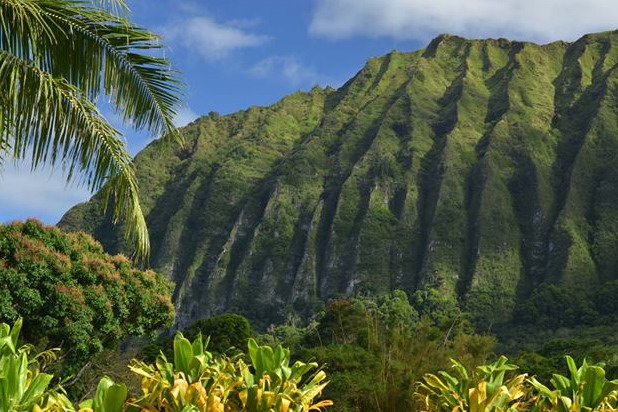 Hawaje